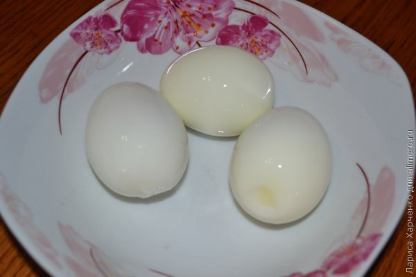 ������ ������ � �������