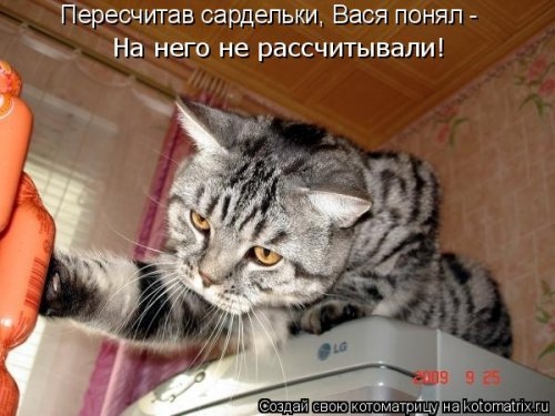 Котоматрица