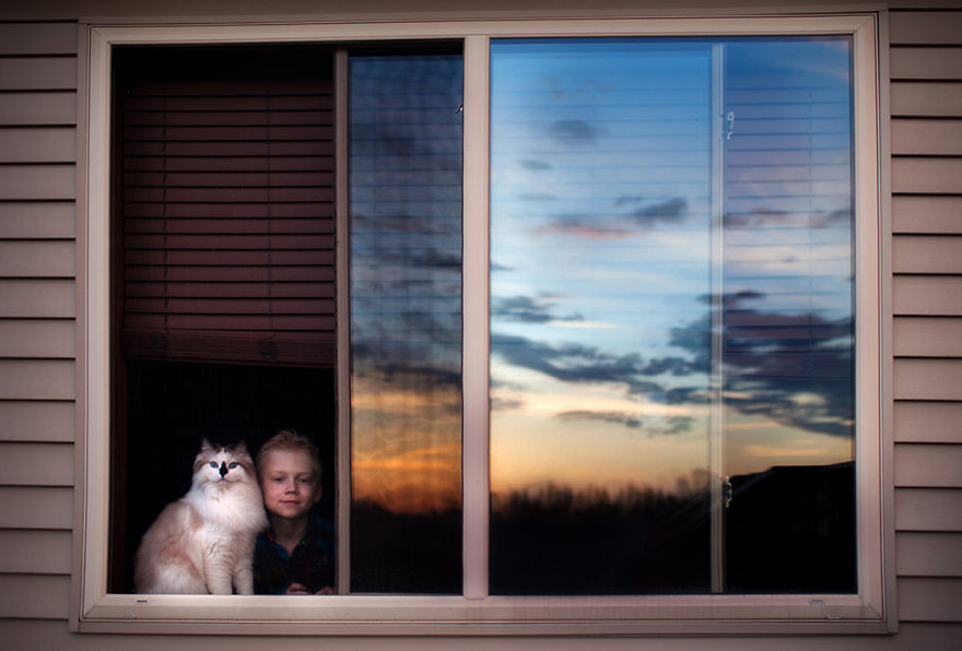 Мальчики и их кошки  кошка, мальчик, фото