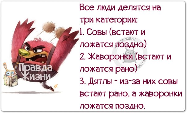 http://mtdata.ru/u24/photo77A1/20104385171-0/original.jpg