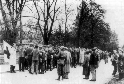 Резня в концентрационном лагере Дахау . Германия 1945 г. ( +18 )