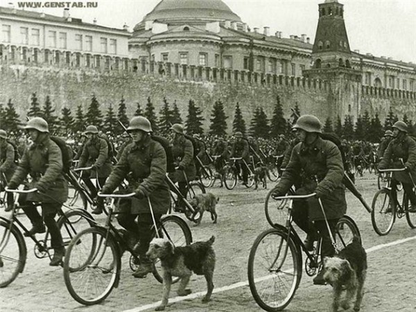 Псы войны Псы войны
