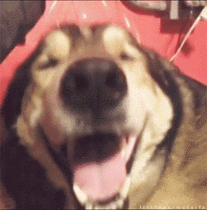  ,  ,  