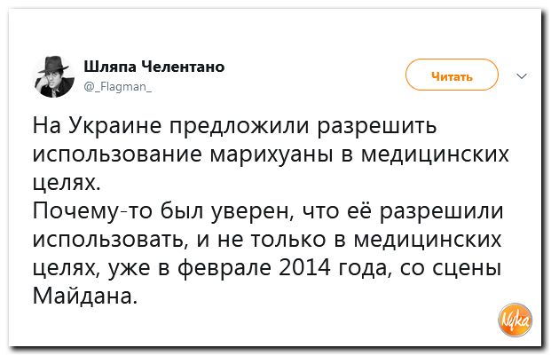 Обзор ситуации в мире с сарказмом и ехидной улыбкой Обзор ситуации в мире с сарказмом и ехидной улыбкой