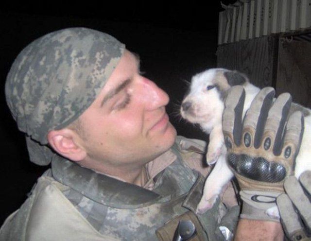 Щенок в память о сыне