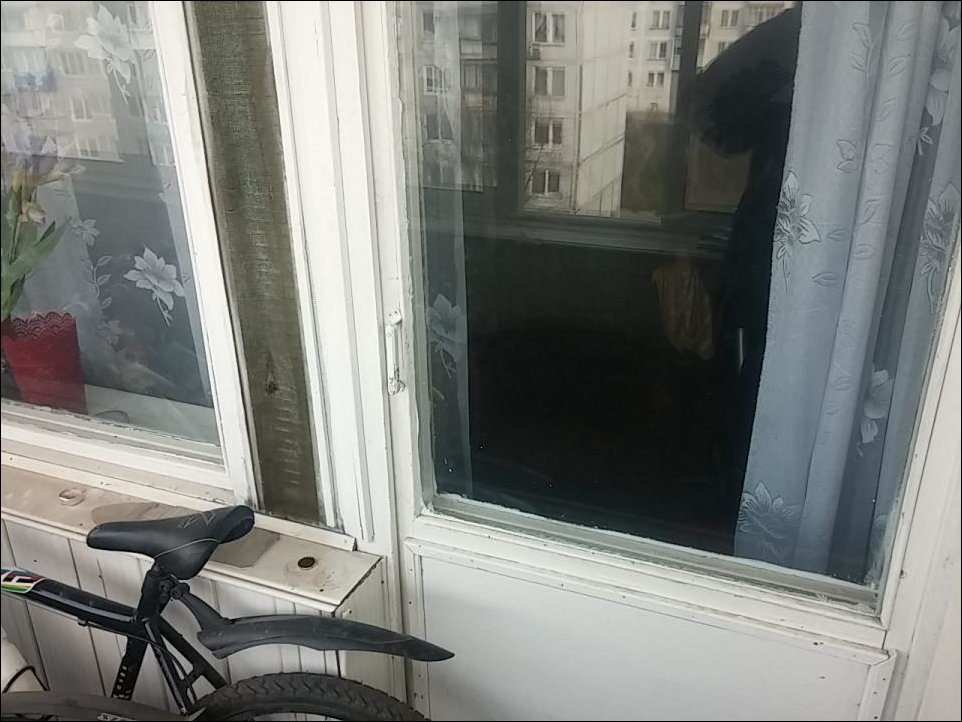 Кот закрыл своего хозяина на балконе Кот закрыл своего хозяина на балконе балкон, кот