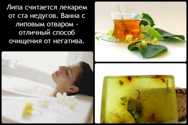 Народное средство чтобы член стоял - Всё об урологии
