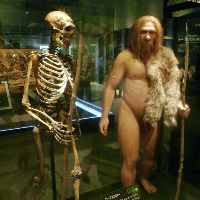 Что мы унаследовали от неандертальцев?