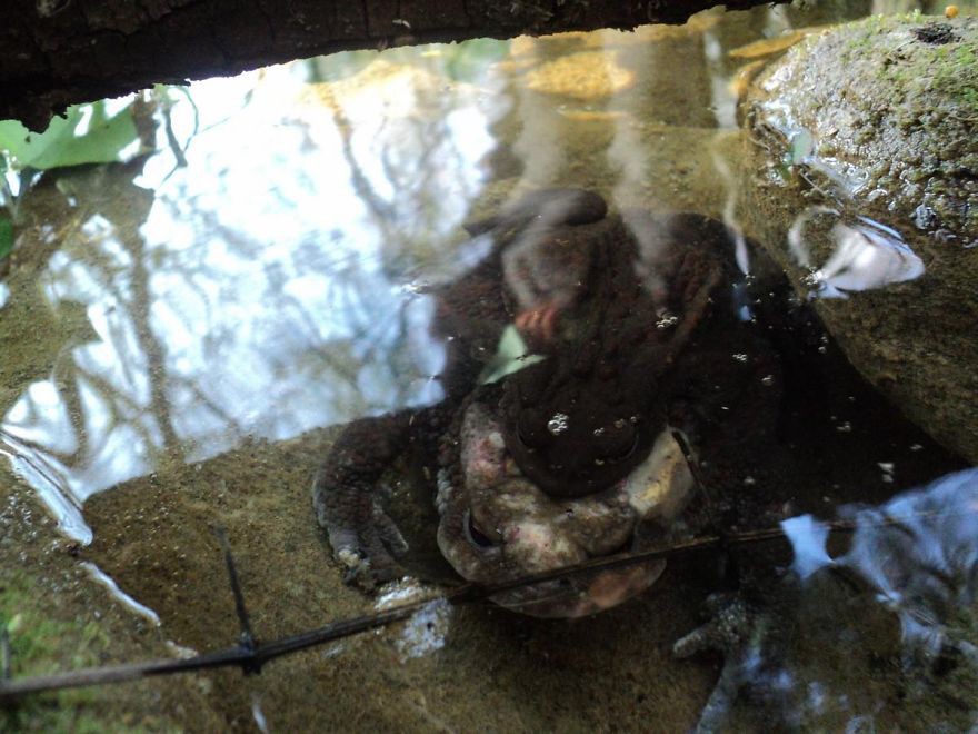 28. ����� �� ���� ����, �������, ��������