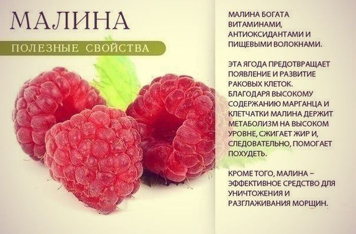  9 самых полезных продуктов для всего организма Полезные, фрукты, ягода