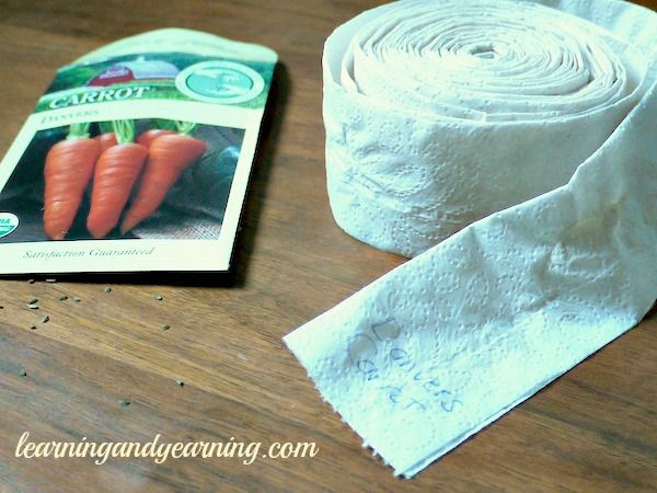 Правильный посев моркови на ленте и посадка на туалетной