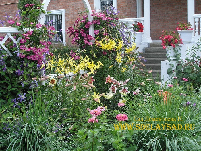 ��� ������� ����������