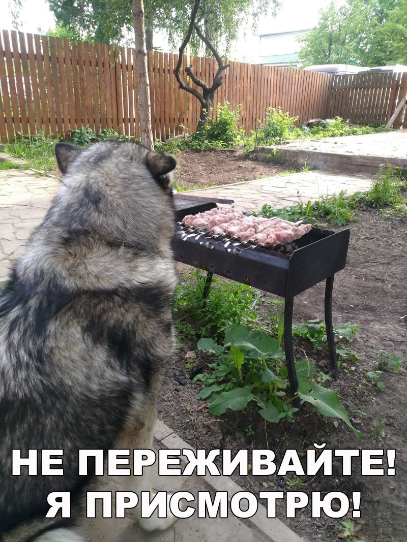— Вы меня обманули. Оказывается, тут до моря 10 километров! — Это отлив... — Вы меня обманули. Оказывается, тут до моря 10 километров! — Это отлив...