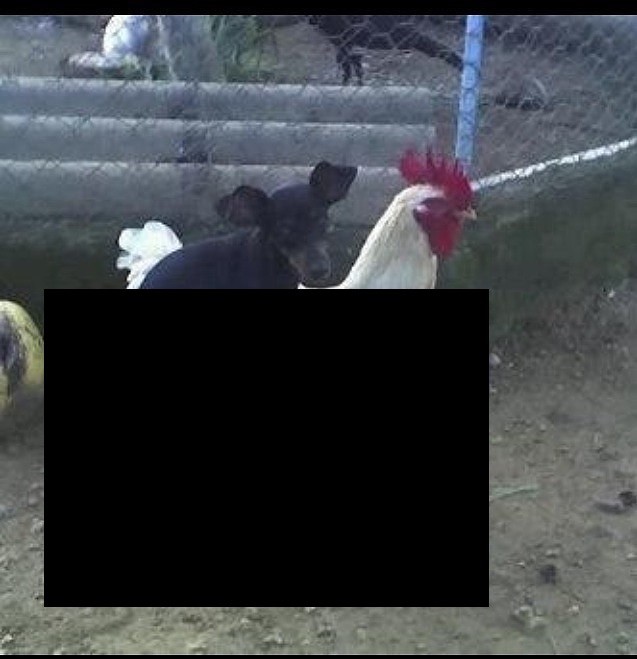 Ты не ты когда голоден! Ты не ты когда голоден, позитив, прикол, юмор