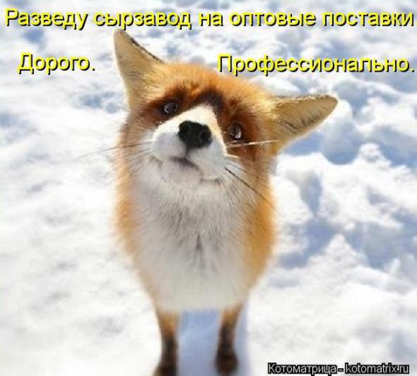 (  )