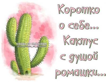 Прикольные, позитивные фразочки в картинках Прикольные, позитивные фразочки в картинках