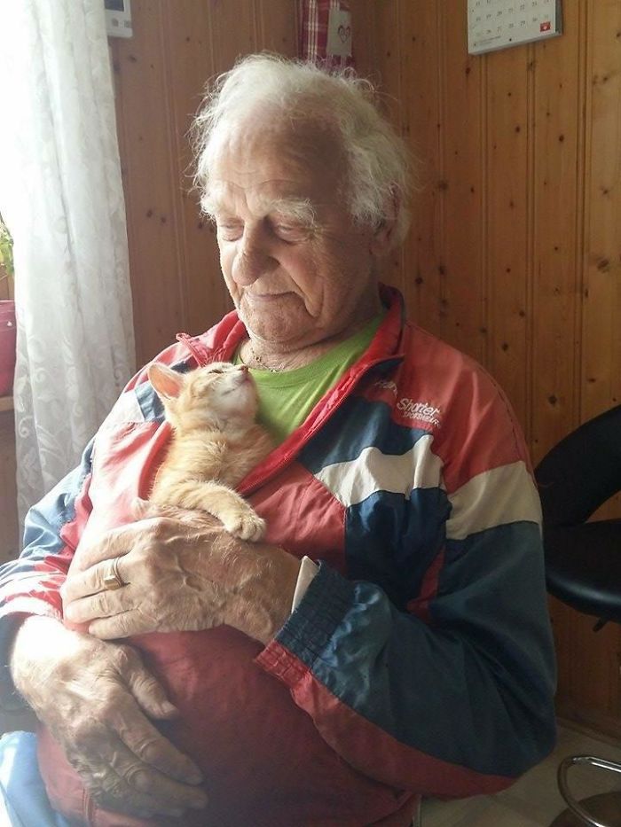 10+ животных, которые без ума от своих хозяев и не в силах это скрывать