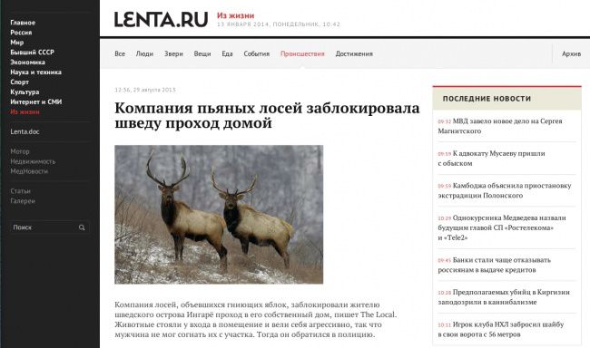 маразм, юмор, заголовок, СМИ