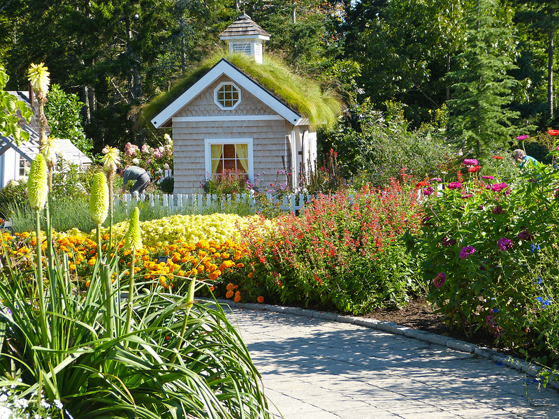     (COASTAL MAINE BOTANIC GARDEN). 