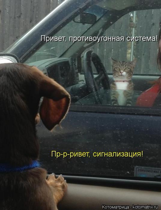 (  )