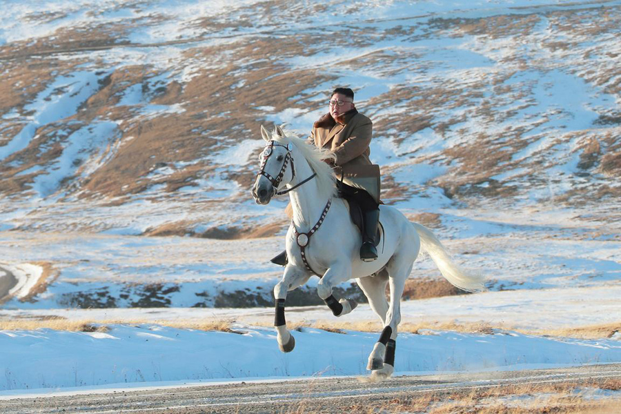 Kim-Horse Kim-Horse