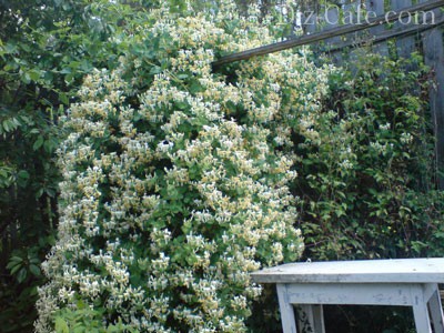 ��������� � ������