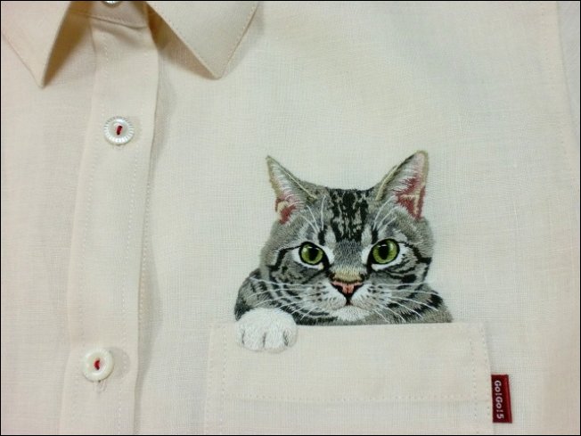 Карманные котята Карманные котята