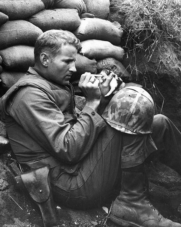 солдат кормит котенка в Корее