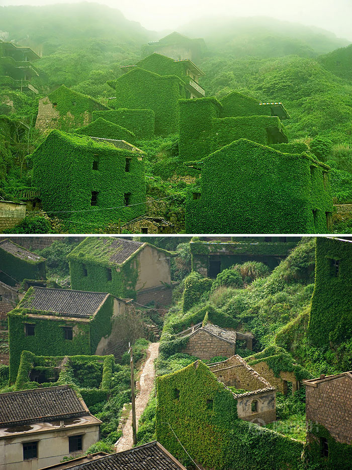 Зеленая деревушка в Китае деревня, зелень, китай