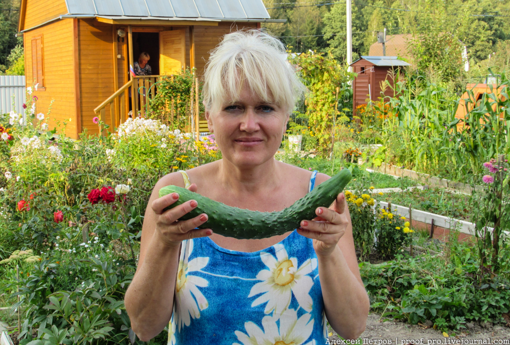 Порно Бывшая На Даче