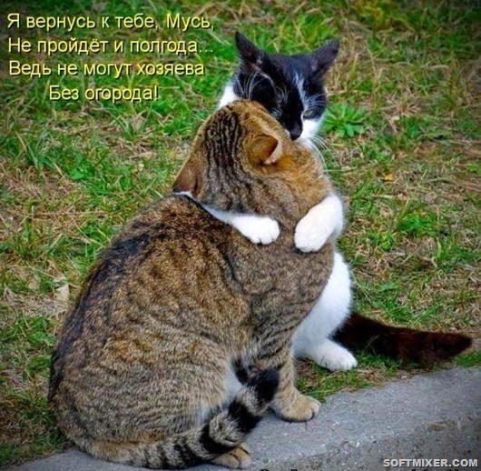 45e7392e80ca958e0abb876abbf_prev