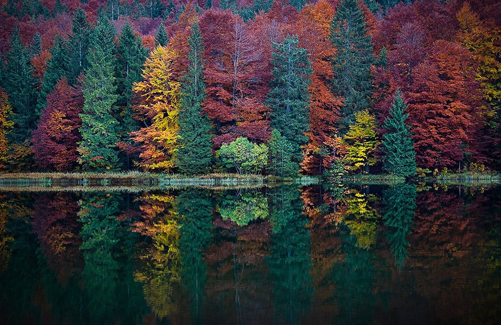 fall05 10 осенних фотографий, которые стали хитами в блогах