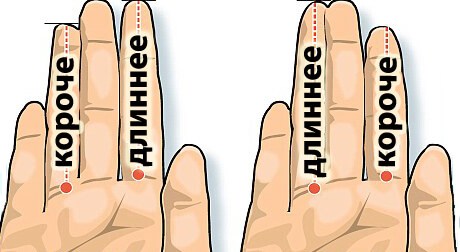 Хочешь знать, изменяет ли тебе девушка? Посмотри на ее пальцы Хочешь знать, изменяет ли тебе девушка? Посмотри на ее пальцы