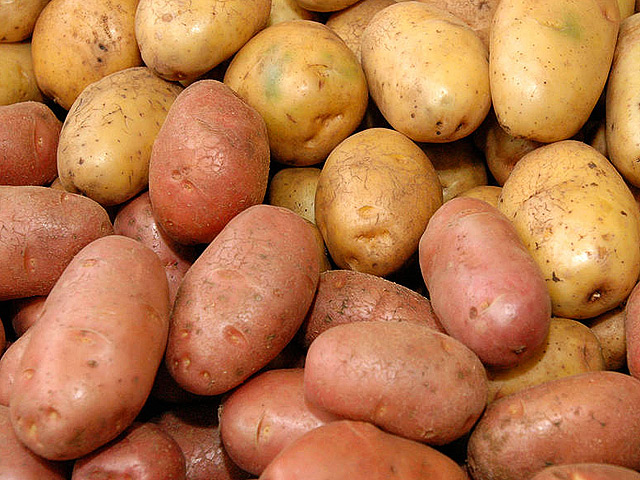 Самые урожайные сорта картофеля - Дачный участок - 15 марта - 43191877069 - Медиаплатформа МирТесен