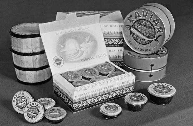 Экспортная продукция Астраханского рыбоконсервно-холодильного комбината, 1961 год. Фото: А.Леонтьев / ТАСС