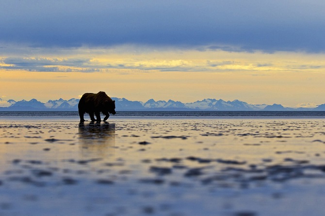 Лучшее с конкурса фотографии National Geographic 2015