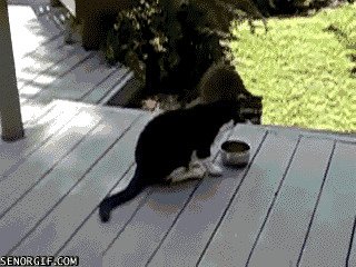 Тырить не перетырить, или о воровтстве в гифках gif, воровство, гифки, карманники, мошенники, подборка, прикол