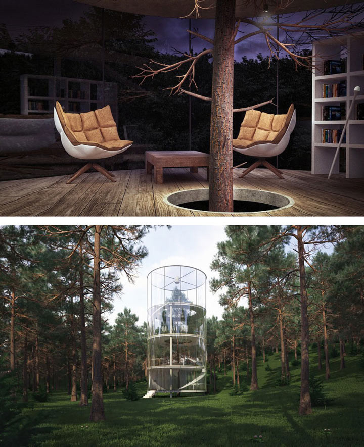  Цилиндрический стеклянный дом, построенный вокруг дерева дерево, дом, здания