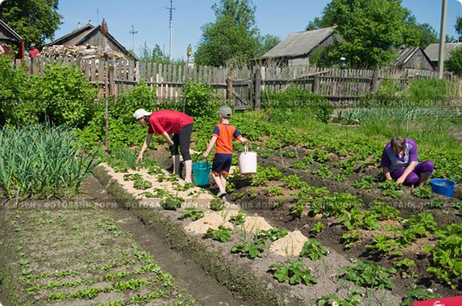 Люди на даче картинки