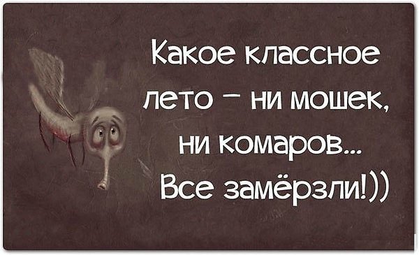 Вот оно какое наше лето!... Вот оно какое наше лето!...