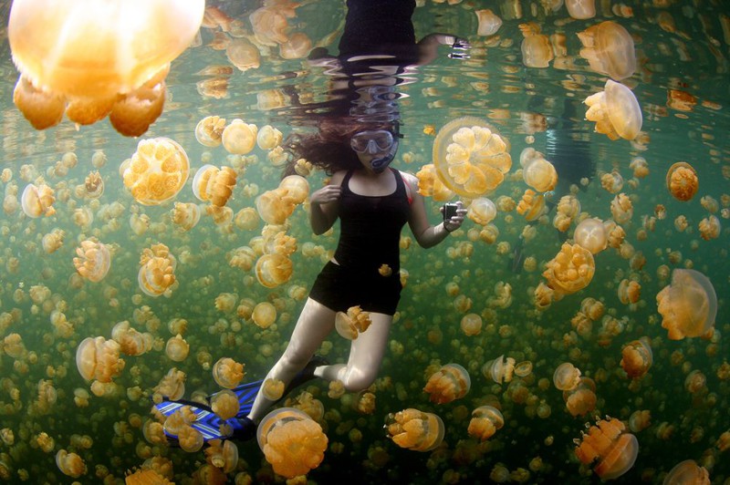 20 лучших фотографий года по версии читателей National Geographic 20 лучших фотографий года по версии читателей National Geographic