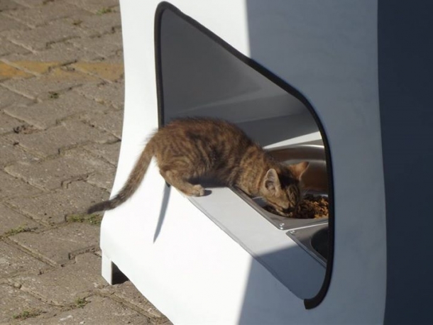 Автомат, который кормит бездомных животных