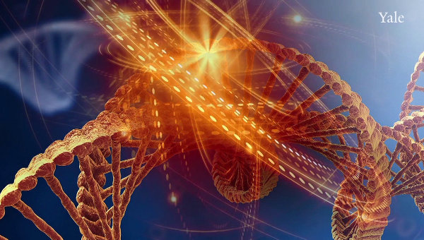 Ученые поняли, как вредные привычки отца влияют на работу ДНК детей Ученые поняли, как вредные привычки отца влияют на работу ДНК детей