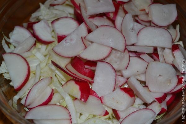 ������ ������ � �������