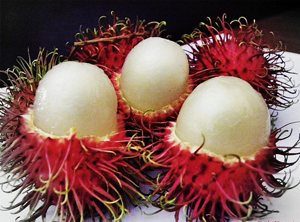 Рамбутан (Rambutan) Рамбутан (Rambutan)