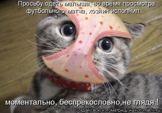 Котоматрица 18