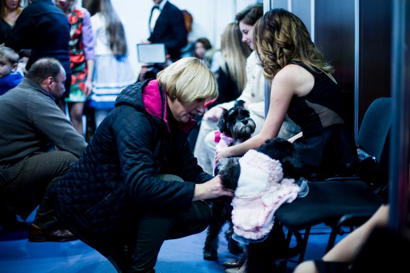 Забавный Backstage шоу маленьких собачек на на «Artpodium 2015» Забавный Backstage шоу маленьких собачек на на «Artpodium 2015»
