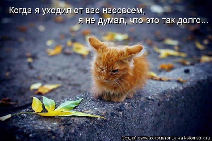   :)