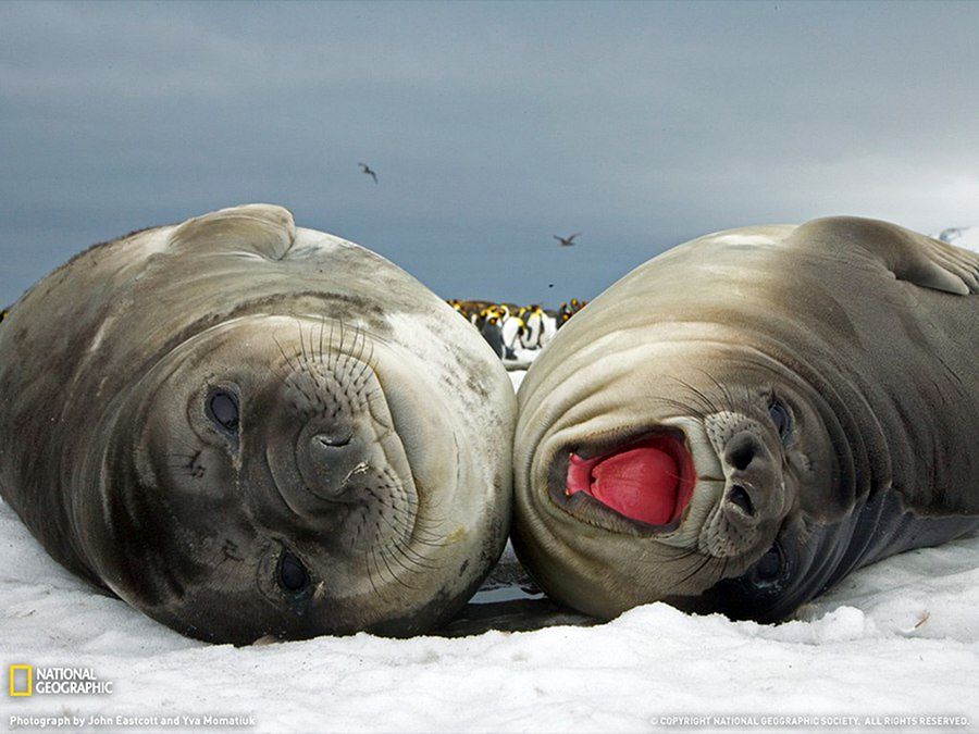 NewPix.ru - ������������ ���������� ��������