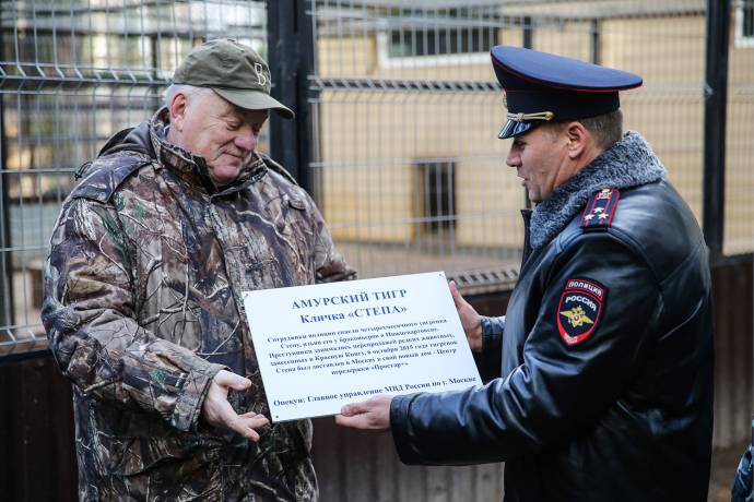 Московская полиция взяла шефство над спасенным тигренком Степой